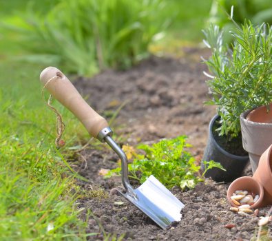Donice do ogrodu i na taras czyli nowoczesne i ciekawe opcje dekoracyjne