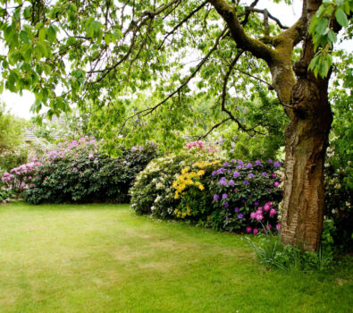 Hurtownia ogrodnicza Alula – kompleksowe zaopatrzenie dla ogrodników i rolników Hurtownia ogrodnicza Alula – kompleksowe zaopatrzenie dla ogrodników i rolników