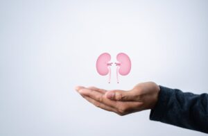 Urocal Saszetki – wsparcie dla układu moczowego